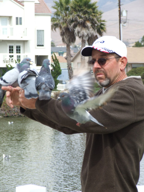 Pismo Coast Village feeding the pidgeons