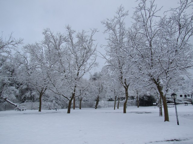 sv 03-16-08 landscape resized_001