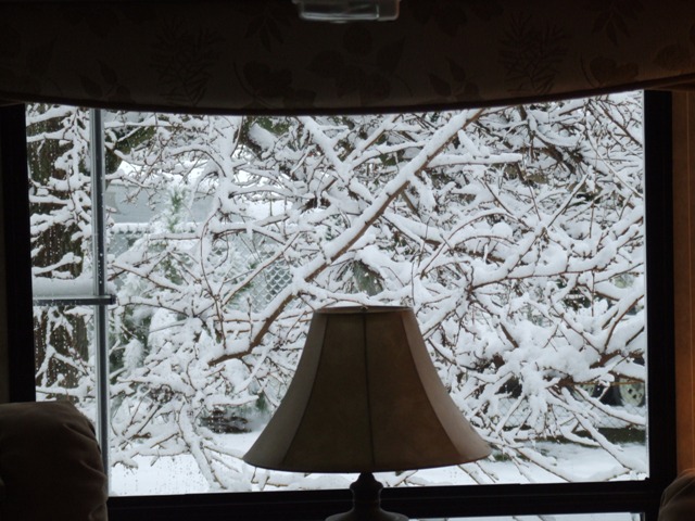 SV 031608 view from inside resized