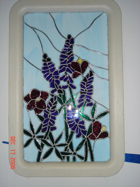HH_Bluebonnets 004