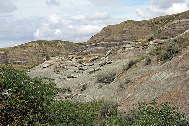 Last day at Drum 018