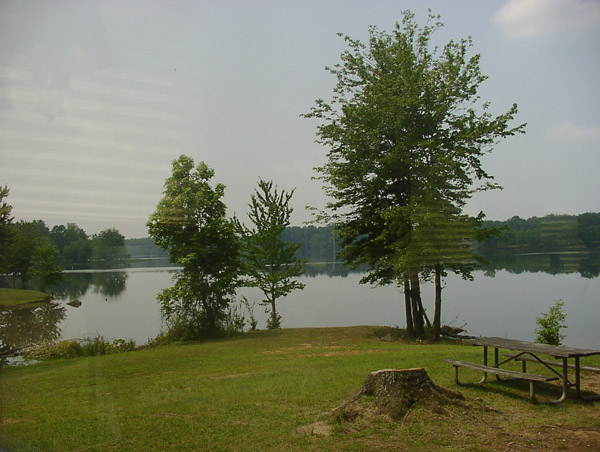 P6010102