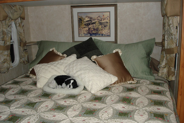 New bedspread, pillows and Scout