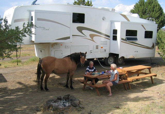 Star enjoying the visit with me and Jo.