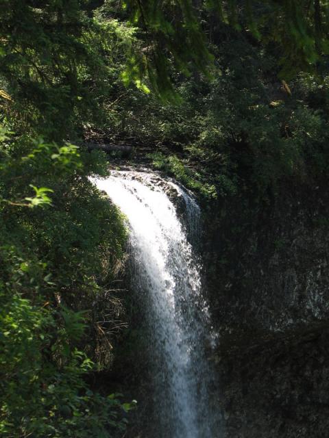 South Falls, Silver Falls S.P.