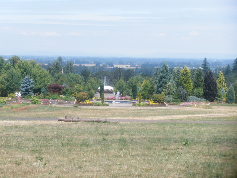 P7221654