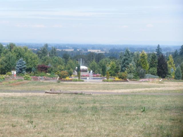 P7221654