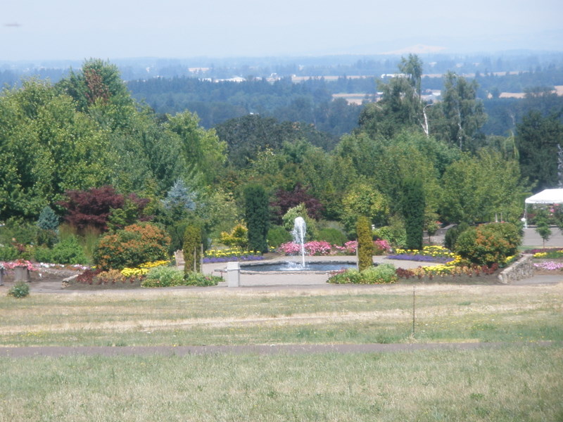 P7221657