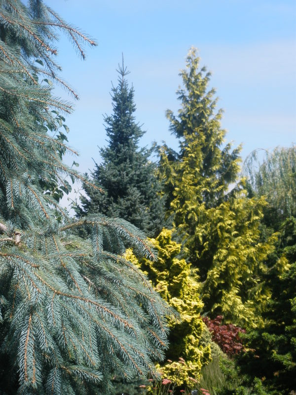 P7221682