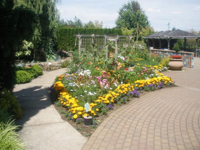 P7221715