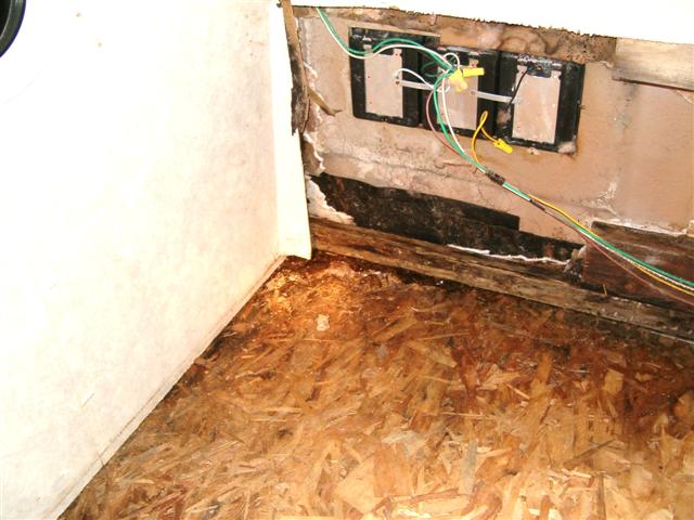 august 17 2010 007 (Small)