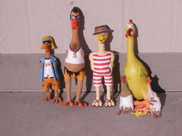 CD And Pals Waiting For A Ride