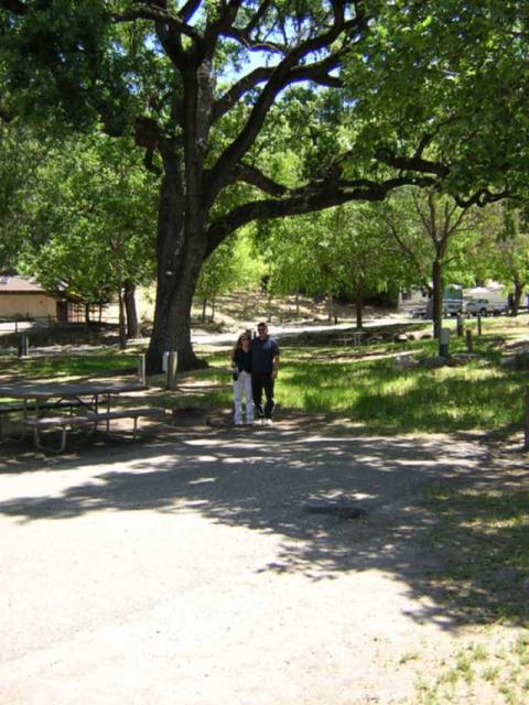 DSCN0700a