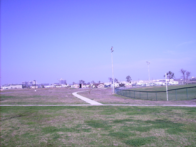 Park view from Forrestal