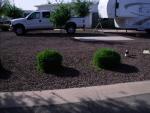 At Cotton Lane RV Park #2