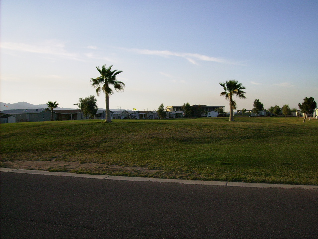 Shot of one of the greens at Cotton lane with the closed Dog track