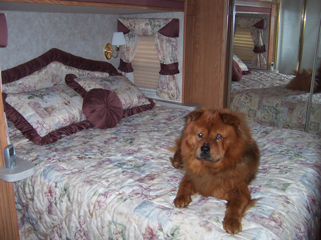 100_3