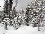 MoreSnow2E