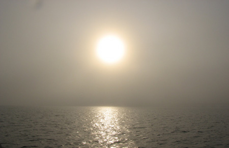 Fog2E copy