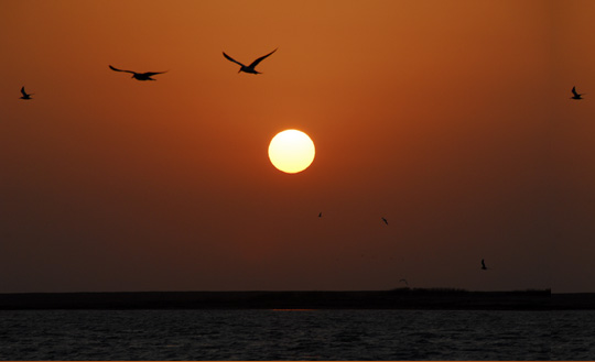 ValentineSunsetE