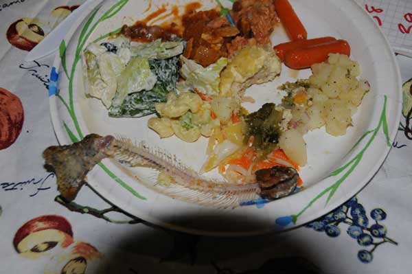 Debbie's Fish Remains