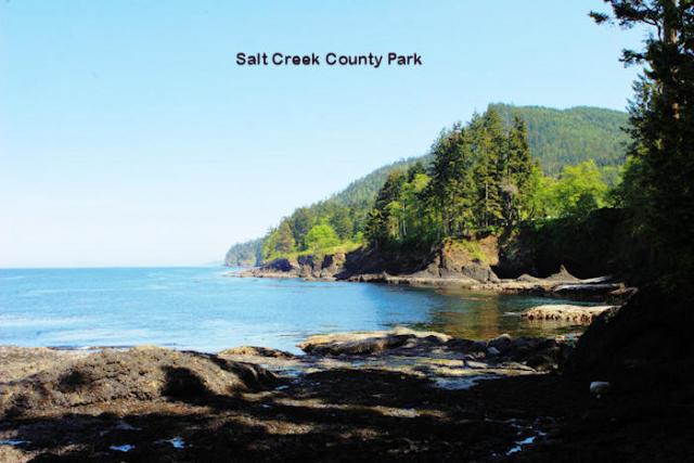 salt creek 01