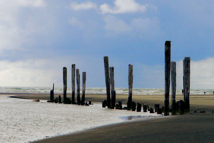 pilings at Pacific Beach SP