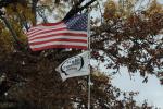 flags